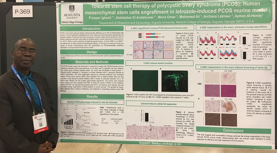 Autologous MSC Ovarian Restoration Study